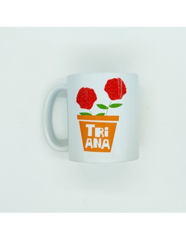 TAZA Maceta
