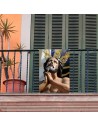 Balconera Penas
